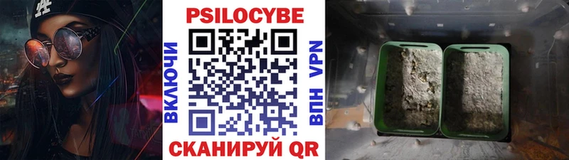 Псилоцибиновые грибы Cubensis  МЕГА рабочий сайт  Шацк 