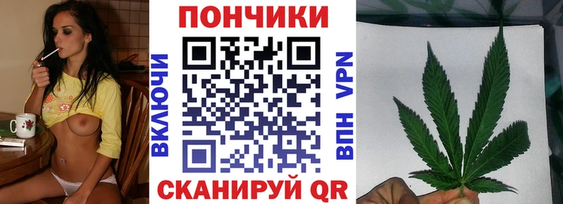 Канабис сатива  ОМГ ОМГ маркетплейс  Шацк 